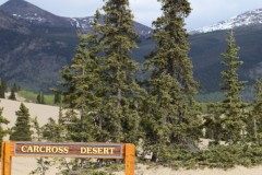 whitehorse_goldencircle3