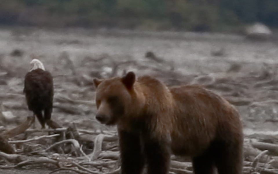 Eagle Preserve Rafting 7