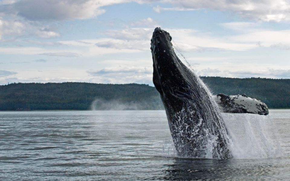 Screenshot 2025-09-23 102639