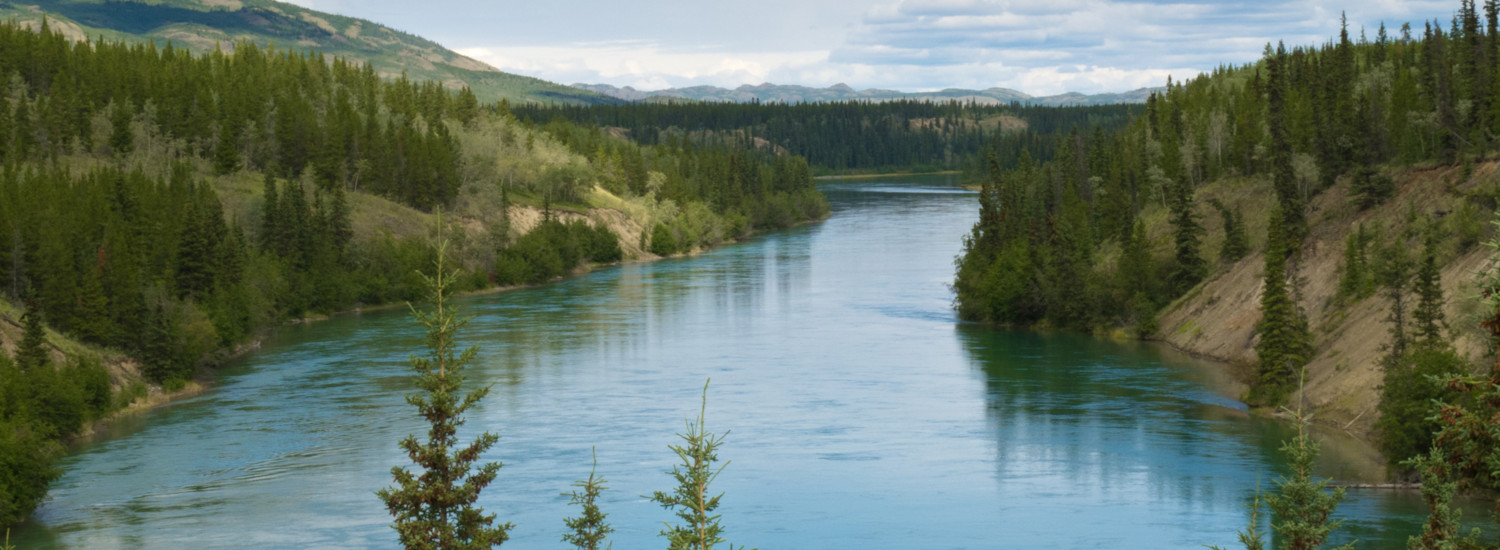 Yukon River outside of Whitehorse