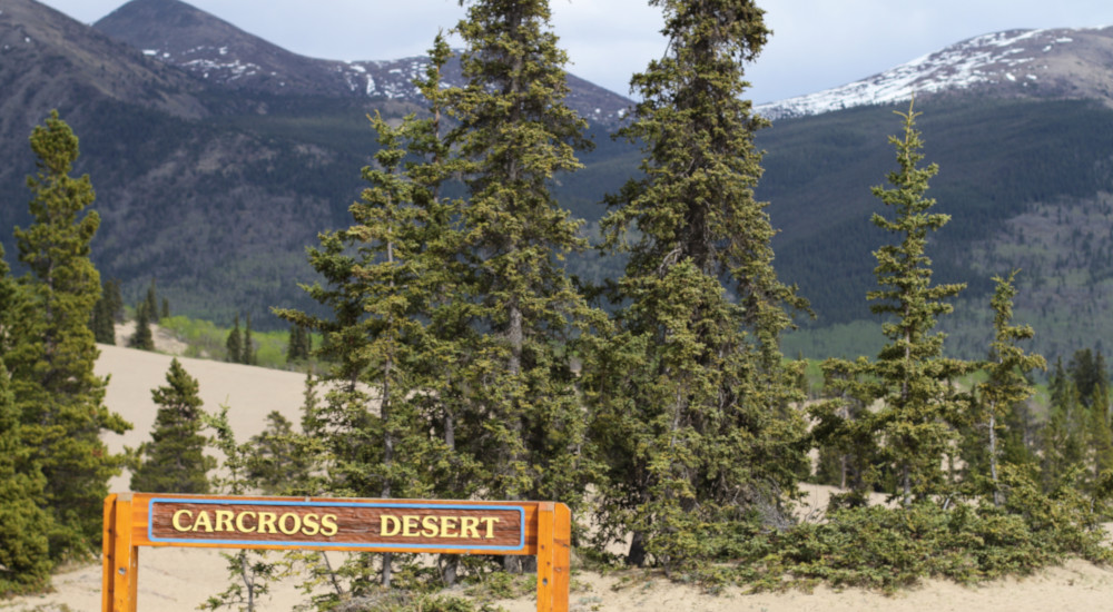 Carcross, Yukon is home to the smallest desert in the world. 