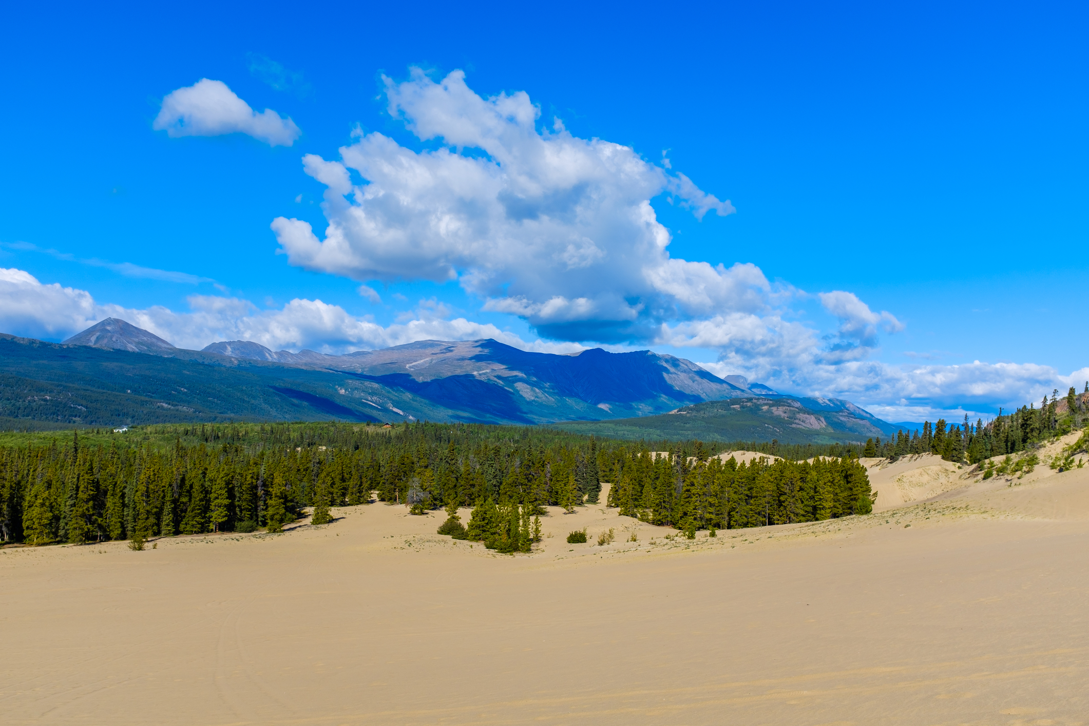 A visit to the tiny desert of Carcross