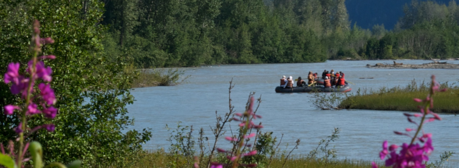 Rafting on the Chilkat River and through the Bald Eagle Preserve