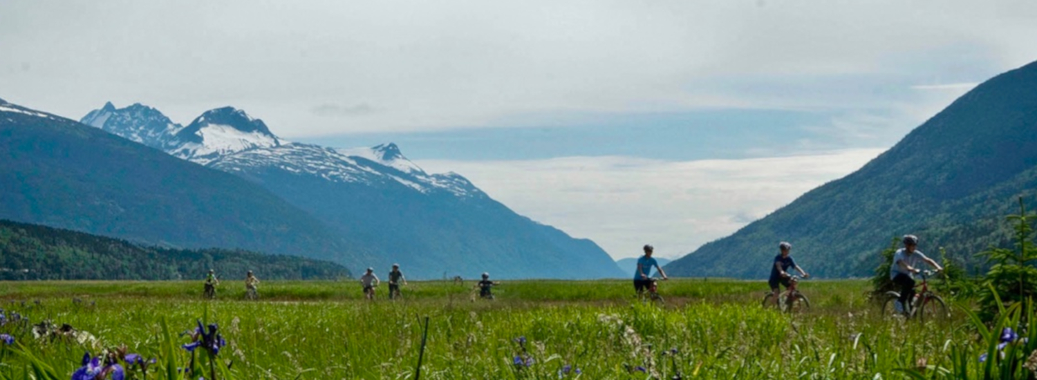 Biking among wildflowers at Dyea Flats, outside of Skagway