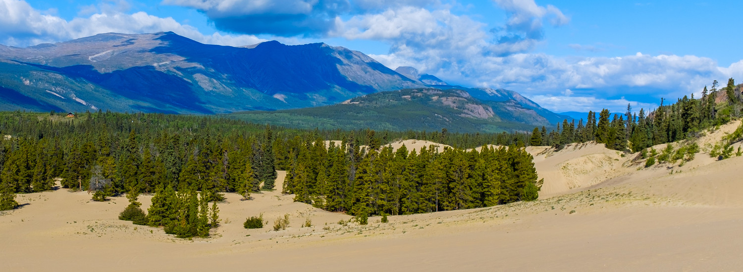 Taking in the beauty in the smallest desert of Carcross